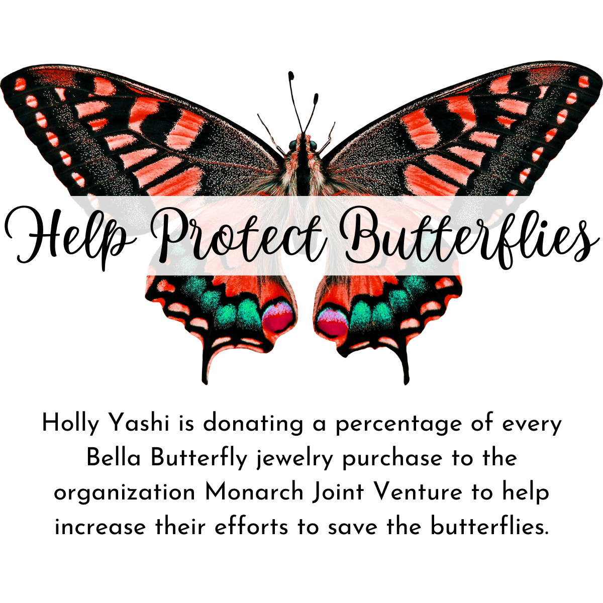 Holly Yashi Bella Butterfly Earring - Silver Parrot, Inc.