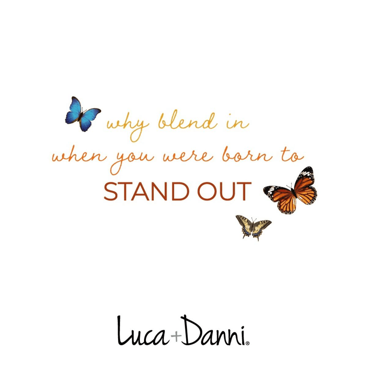 Luca + Danni Blue Morpho Butterfly Bangle - Silver Parrot, Inc. 